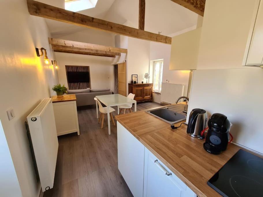 Joli Appartement Tout Confort Chalon-sur-Saône Exteriör bild